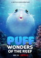 Puff: Wonders of the Reef