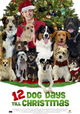 12 Dog Days of Christmas