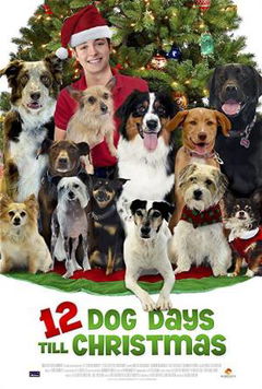 12 Dog Days of Christmas (2014)