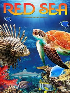 Red Sea (2016)