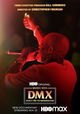 DMX: Don't Try to Understand