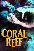 Coral Reef (2013)