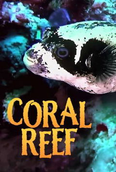 Coral Reef (2013)