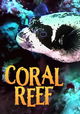 Coral Reef