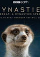 Meerkat: A Dynasties Special