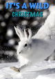 It's A Wild Christmas