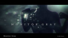 Monitor Gray (2013)