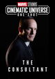 The Consultant
