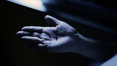 The Open Window (2015)