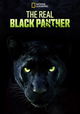 The Real Black Panther