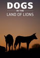 Dogs In The Land Of Lions