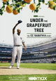 Under the Grapefruit Tree: The CC Sabathia Story