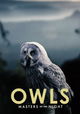 Owls: Masters of the Night