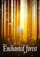 The Enchanted Forest