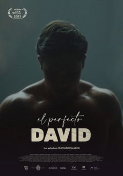 El perfecto David (2021)