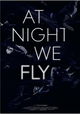 At Night We Fly