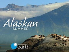 Alaskan Summer (2017)