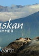 Alaskan Summer