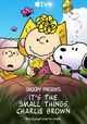It's the Small Things, Charlie Brown