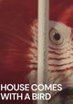 House Comes with a Bird