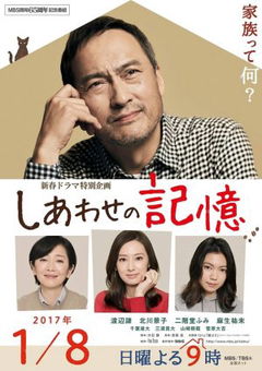The Memories of Happiness (2017)