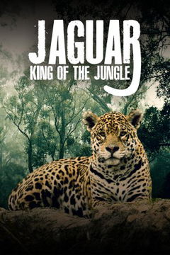 Jaguar: King Of The Jungle (2020)
