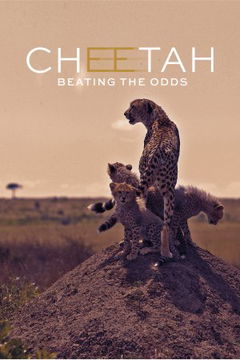 Cheetah: Beating The Odds (2020)