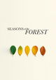 Seasons Of The Forest