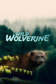 Wild Wolverine (2020)
