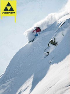 Fischer Freeskiing (2013)