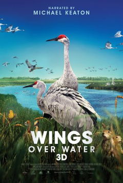 Wings Over Water (2022)
