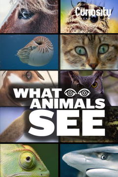 What Animals See (2018)