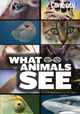 What Animals See