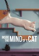 Inside the Mind of a Cat