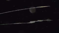 Planktonium (2021)