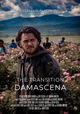 Damascena: The Transition