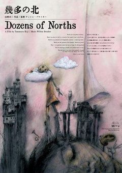 Dozens of Norths (2021)