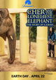 Cher and the Loneliest Elephant