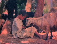El sandwich (1975)