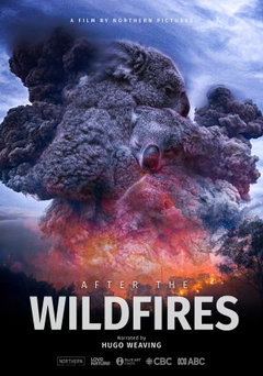 After the Wildfires (2021)