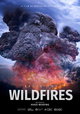 After the Wildfires