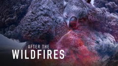 After the Wildfires (2021)