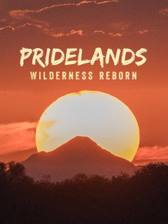 Pridelands: Wilderness Reborn (2022)
