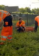 Code Groen
