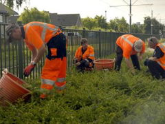 Code Groen (2022)