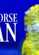 Seahorse Man