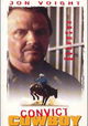Convict Cowboy