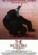 The Incredible Shrinking Woman