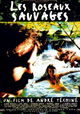 Les roseaux sauvages
