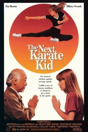 Kid karate The Next